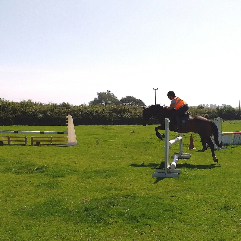 Pony and rider using some jumps