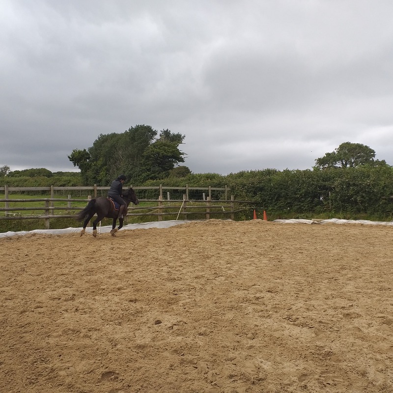 Pony and rider using the exercise area