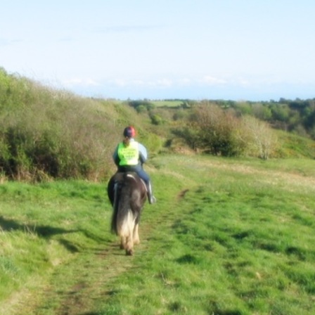 View from a cliff ride at Caswell Bay
