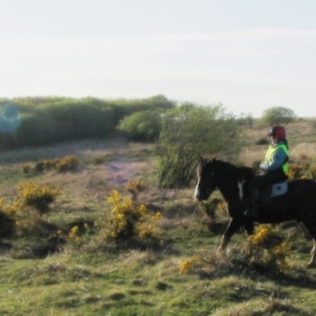 View on a ride on the common