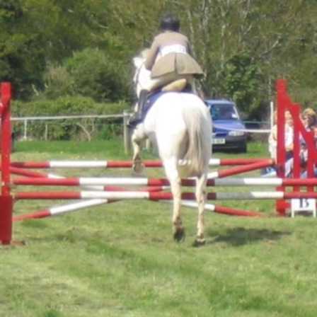 Rider at a local Riding Club show